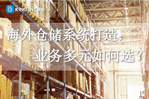 海外倉儲(chǔ)系統(tǒng)打造：業(yè)務(wù)多元如何選？