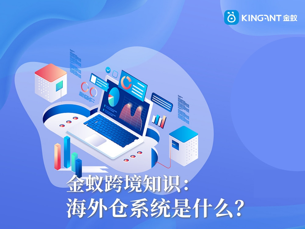 海外倉系統(tǒng)是什么？