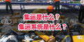 集運是什么？ 集運系統(tǒng)是什么？
