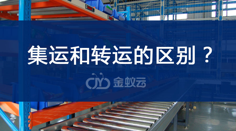 最強(qiáng)分析：集運(yùn)和轉(zhuǎn)運(yùn)的區(qū)別？